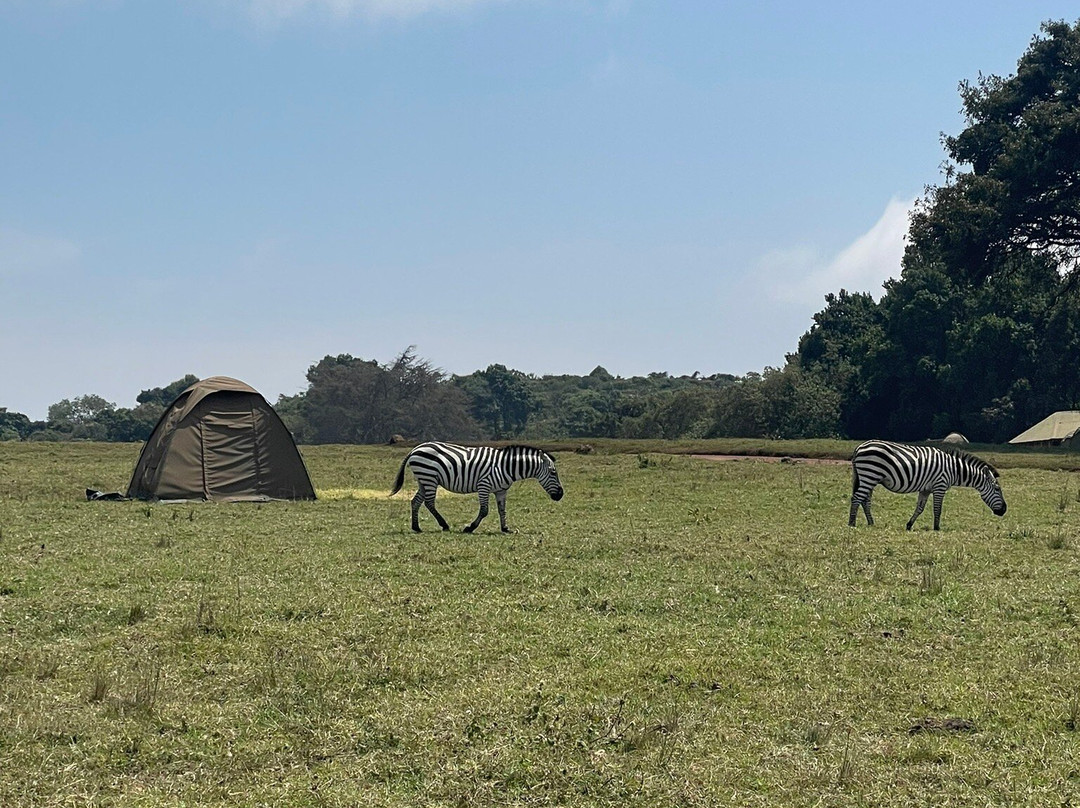 Kiliholidays Tours And Safaris-阿鲁沙必去景点