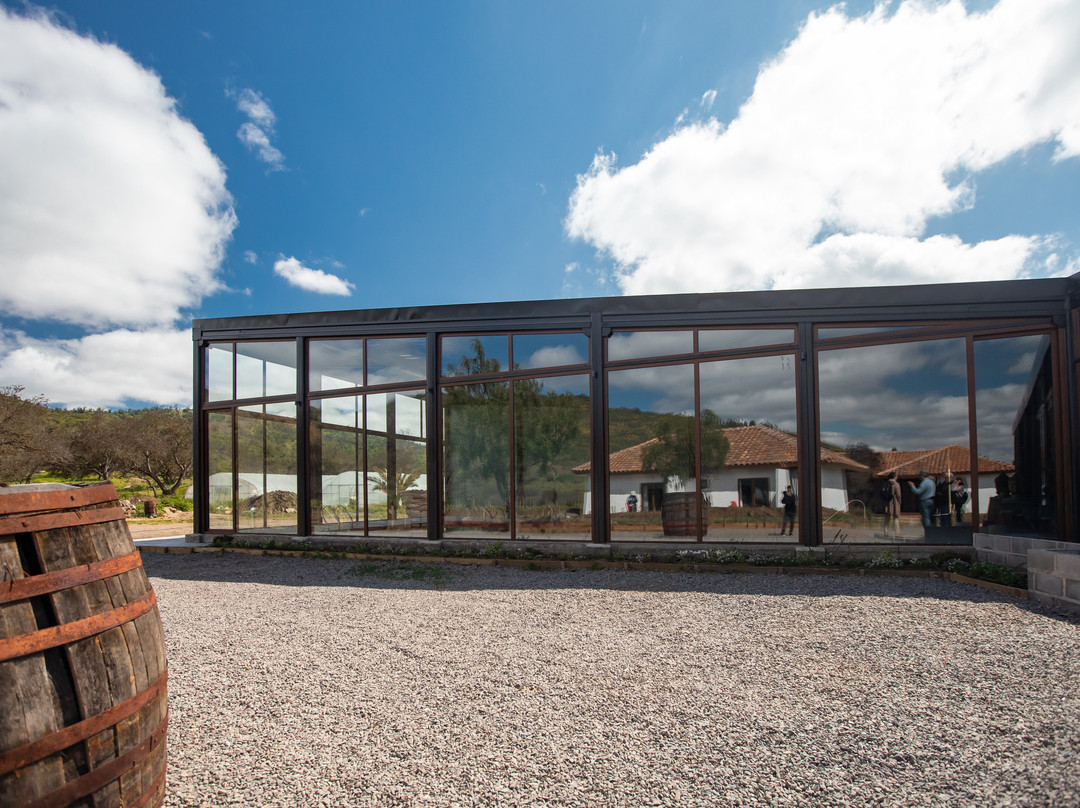 Hotel Boutique BCW Casablanca主图