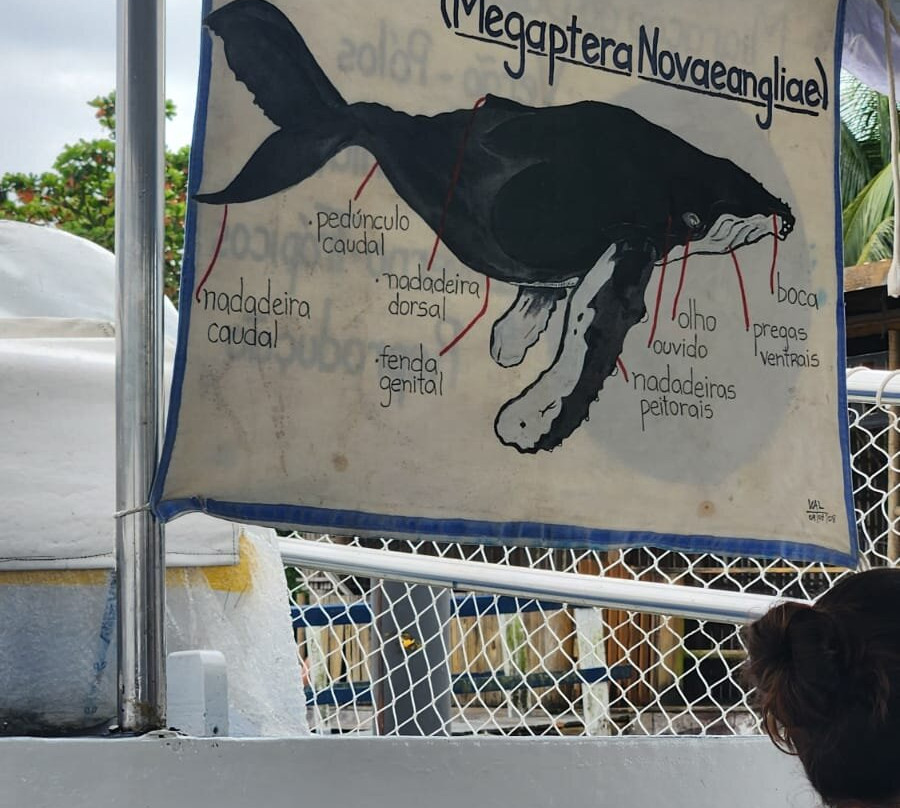 Cia do Mar-Porto Seguro必去景点