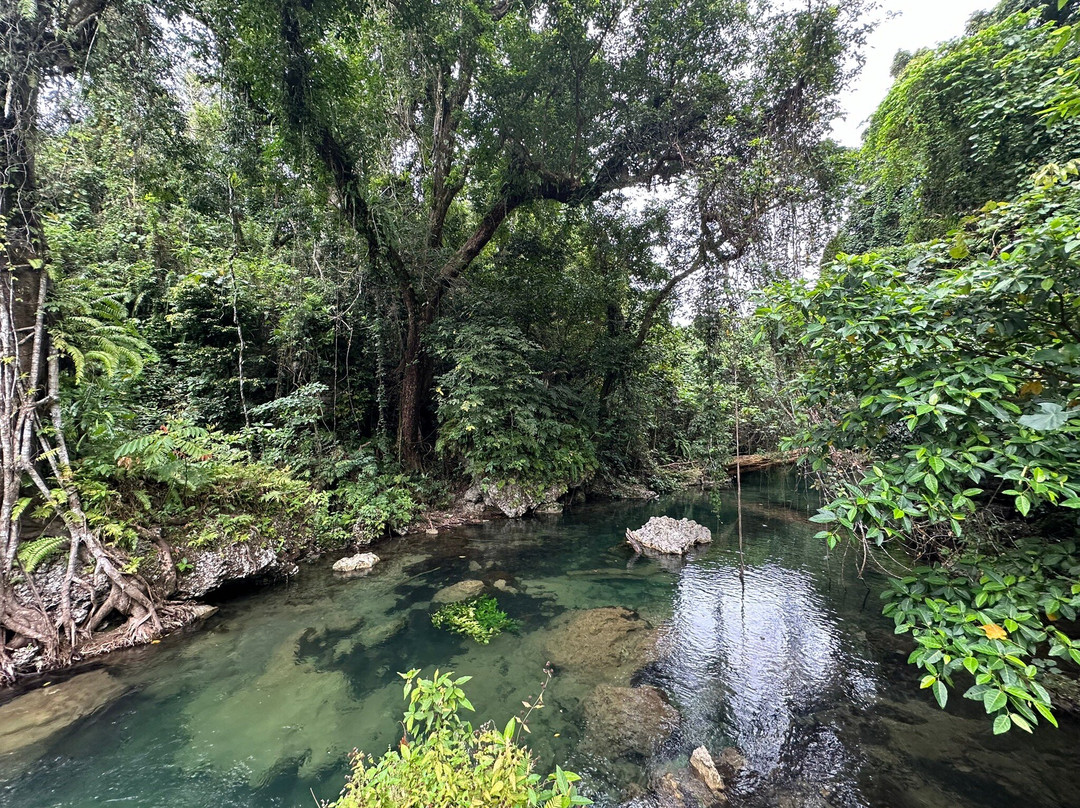 Yumi Tours & Transfers Vanuatu-维拉港必去景点