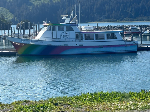 Alaska Coastal Marine Tours-荷马必去景点