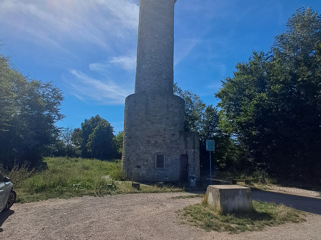 Wartbergturm景点图片