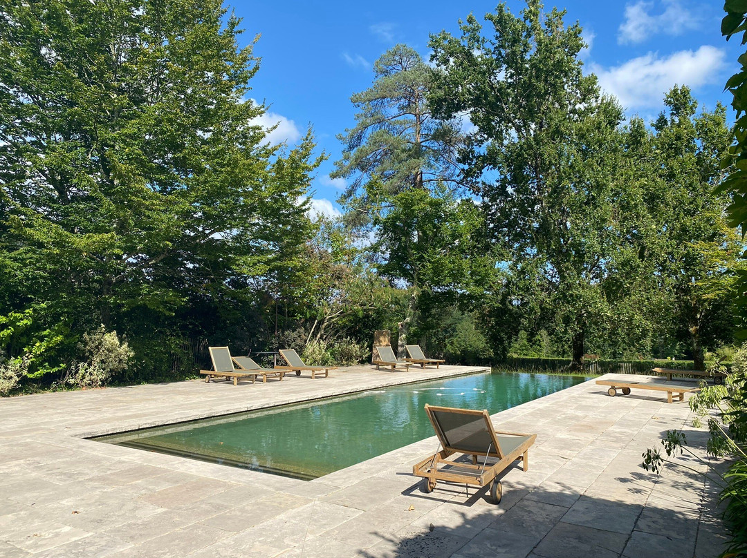 Château Le Pape主图