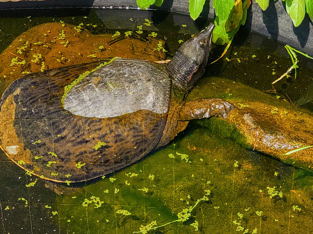 3 Palms Zoo & Education Center-Townsend必去景点