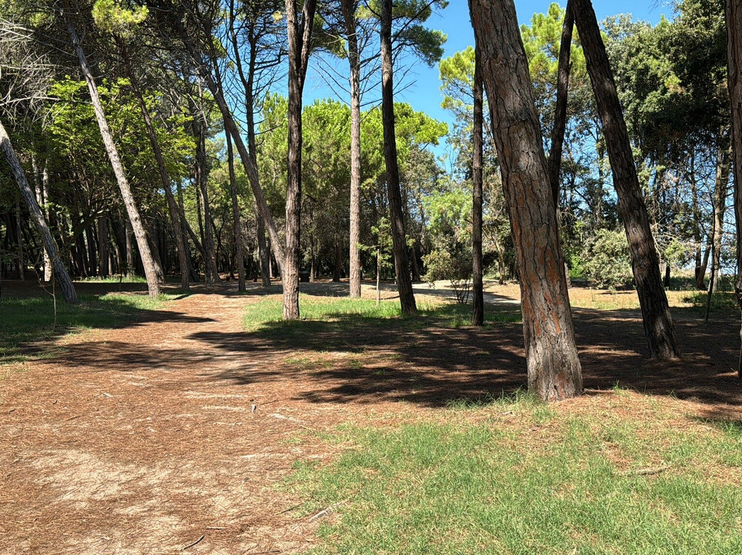 Hotel Beau Soleil主图