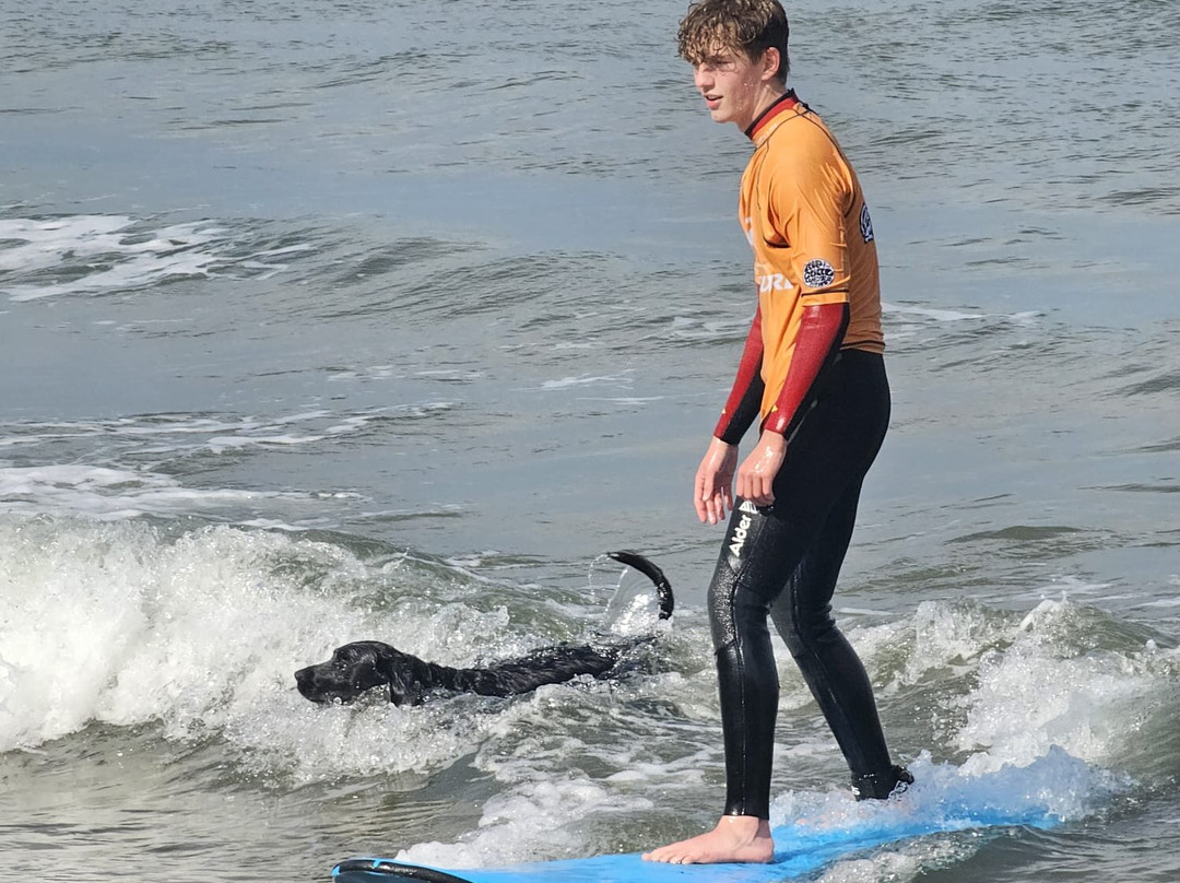 Scarborough Surf School景点图片