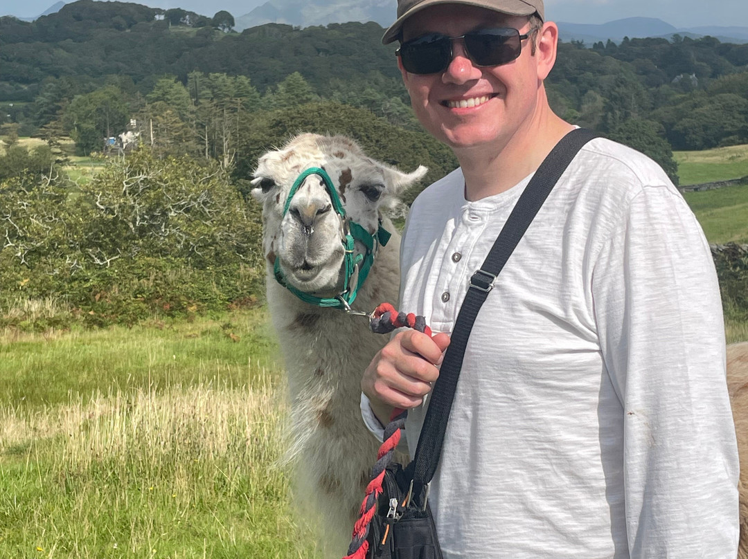 Black Rock Llamas景点图片