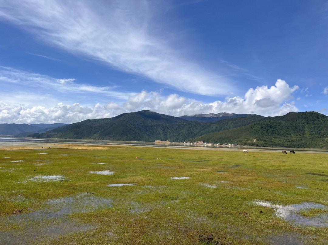 纳帕草原-香格里拉县必去景点