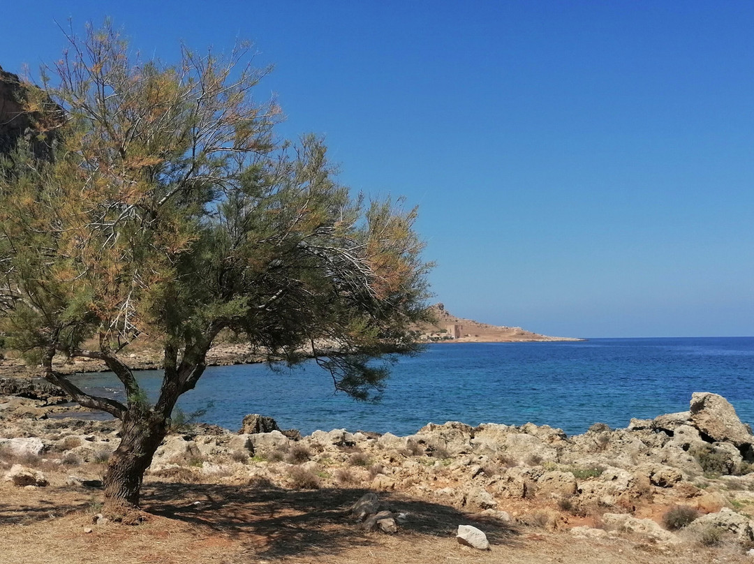 Riserva Naturale Orientata Monte Cofano景点图片