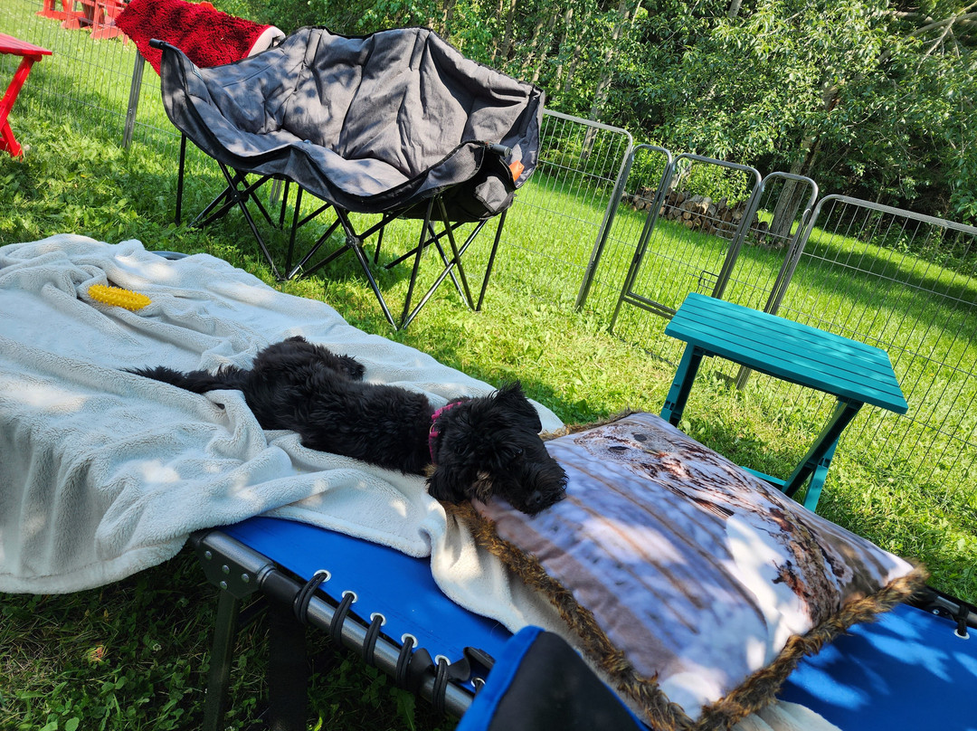 Evergreen Birch Lodge and Resort主图