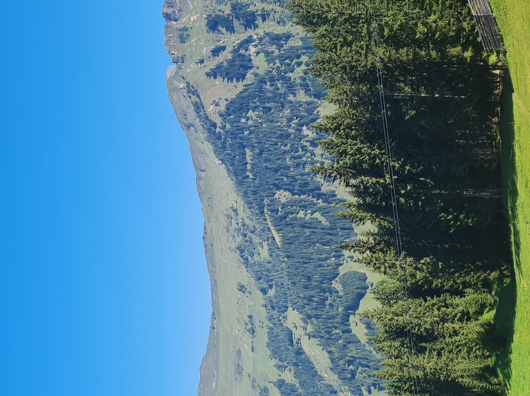 罗曼庄园兰德酒店主图