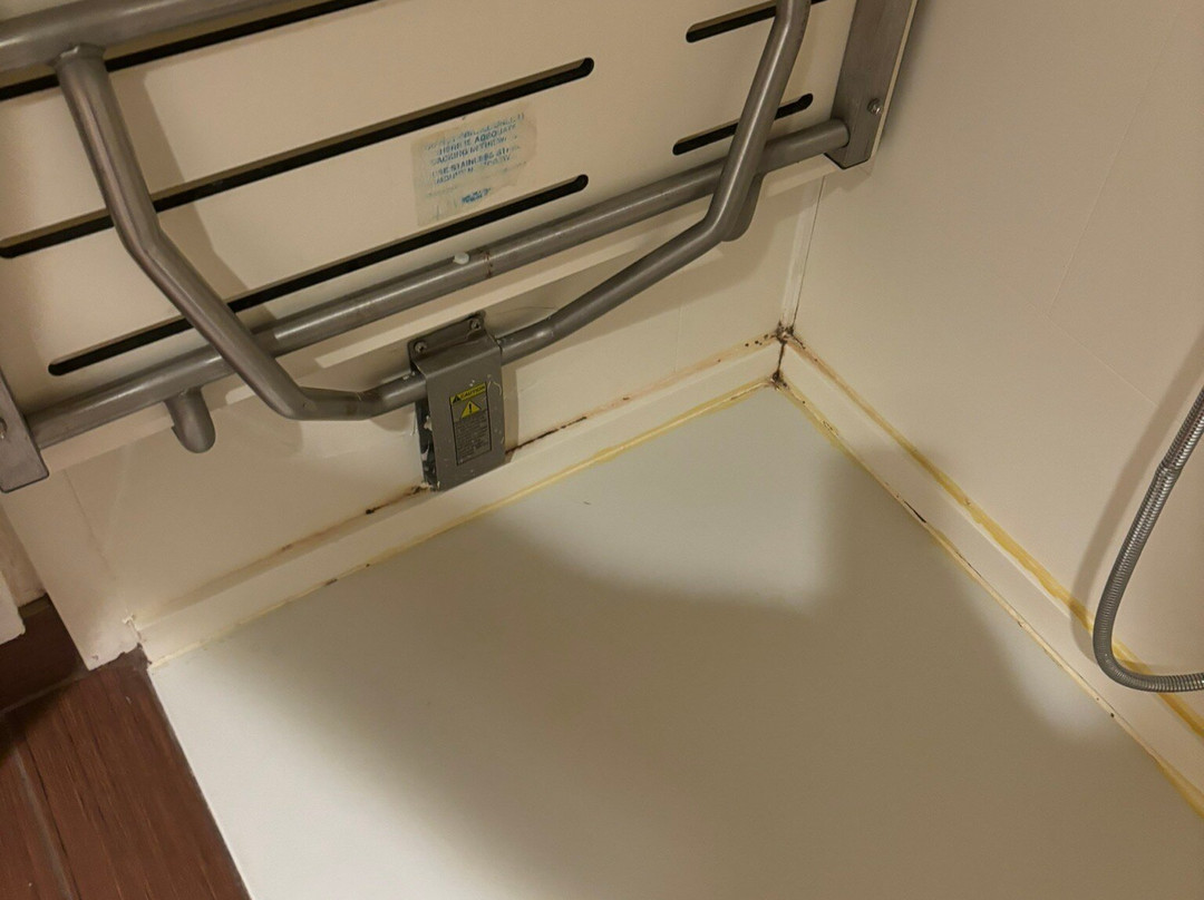 Hilton Garden Inn Rochester Downtown主图