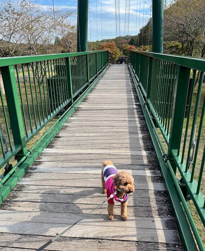 Momijidani Suspension Bridge-那须盐原市必去景点