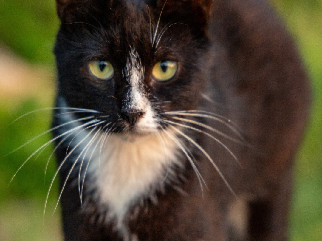 Daewangam Park-蔚山必去景点