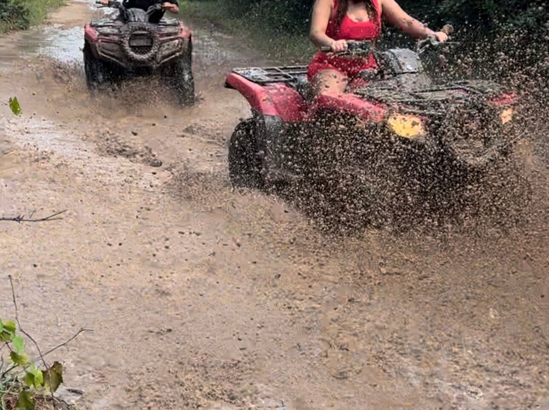 HTX Adventure Park-休斯顿必去景点