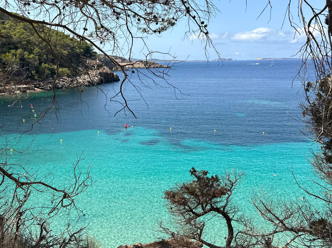 Cala Saladeta景点图片