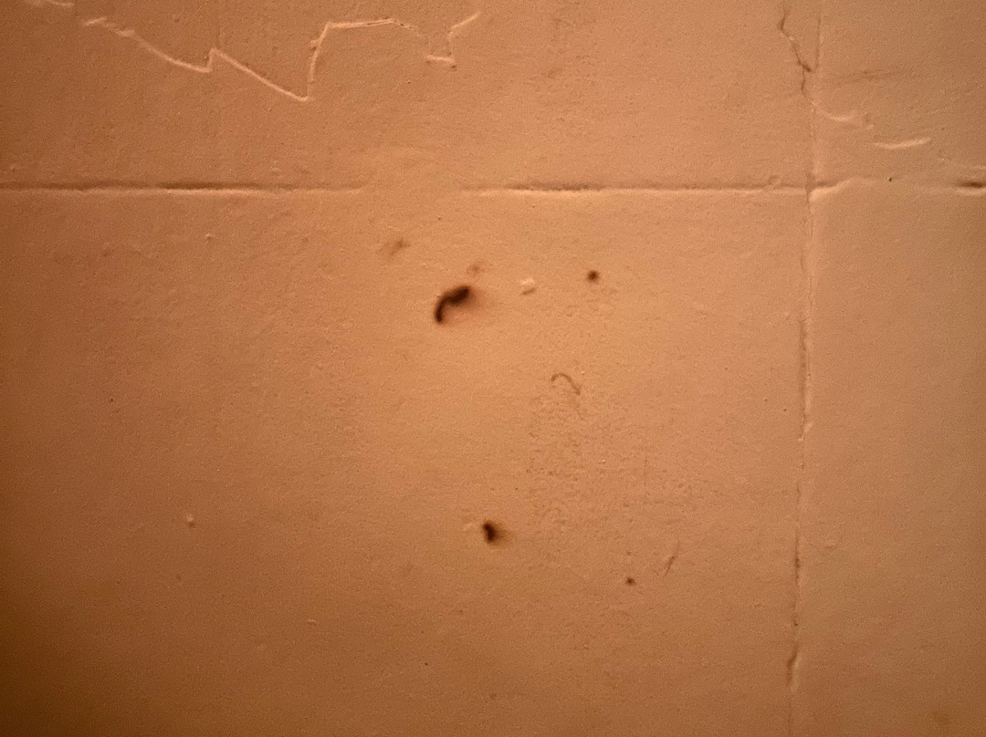 Four Twenty South主图