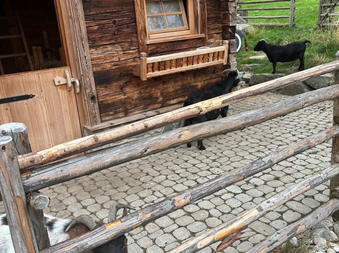 Alpzitt Chalets im Dorf主图