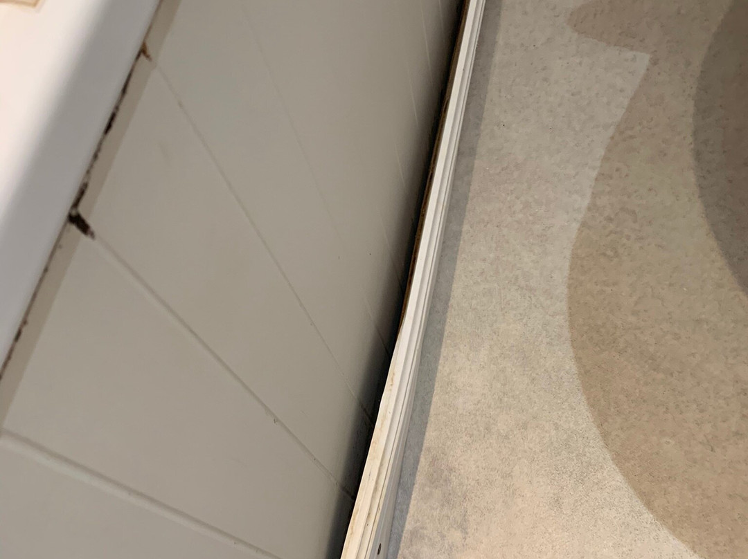 Dunmar House Hotel主图