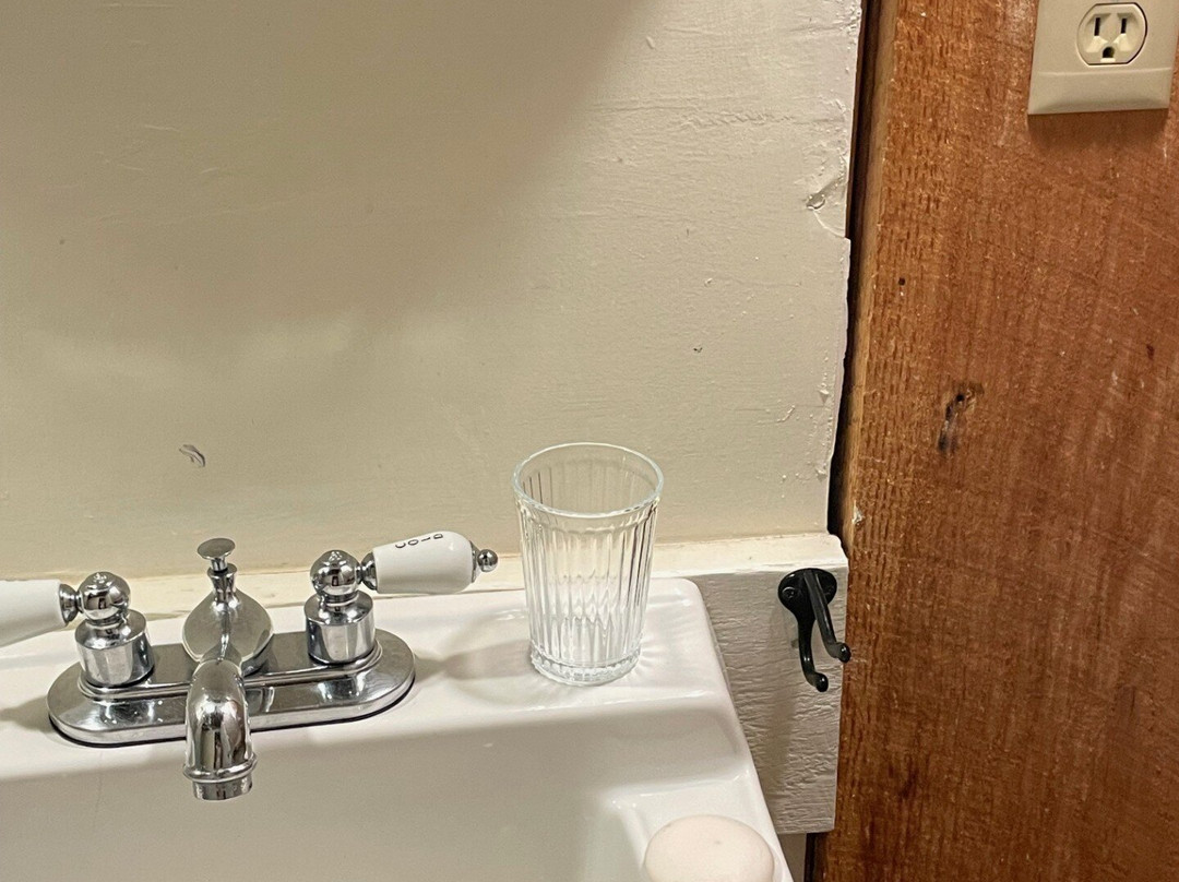 The Copper Swan主图