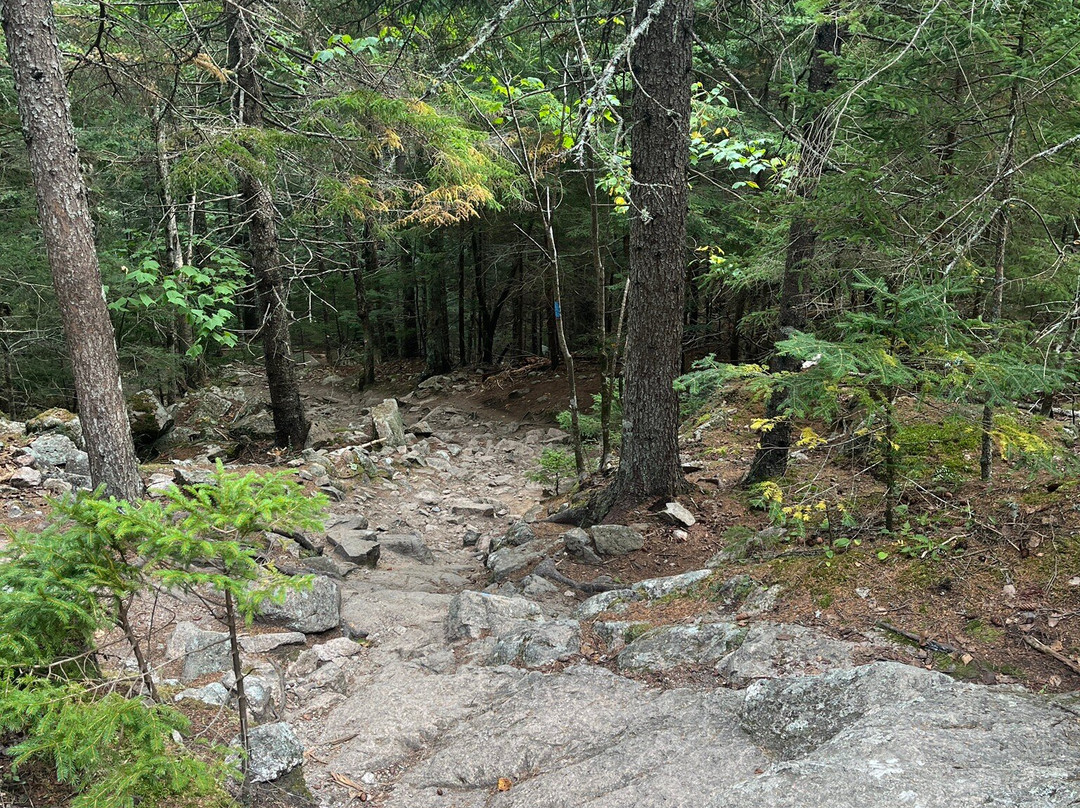 Beech Mountain Trail景点图片