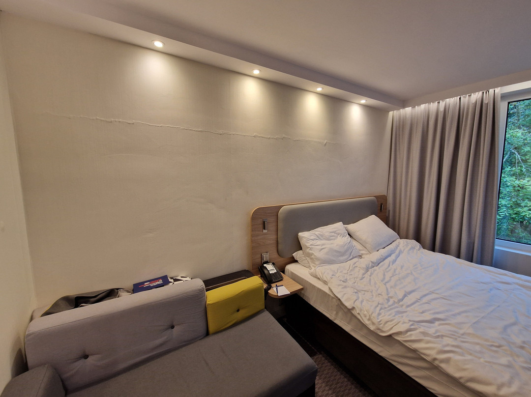 Holiday Inn Express Merzig by IHG主图