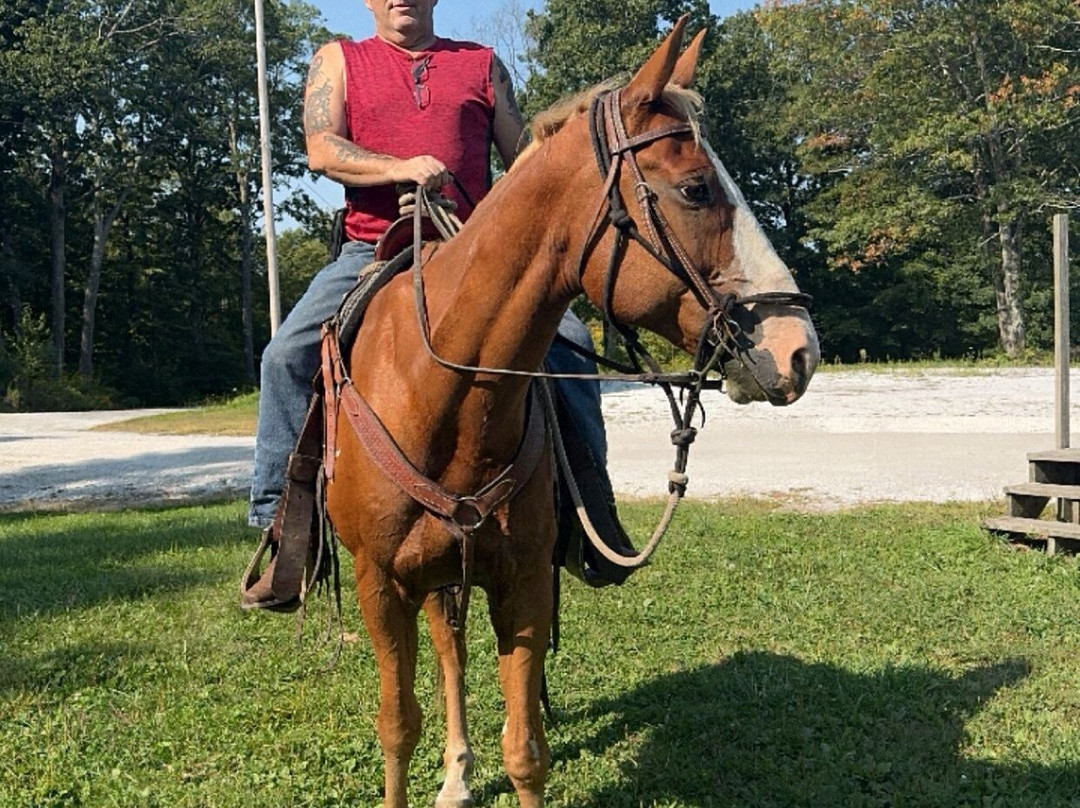 Mountain Valley Farm-Millerton必去景点