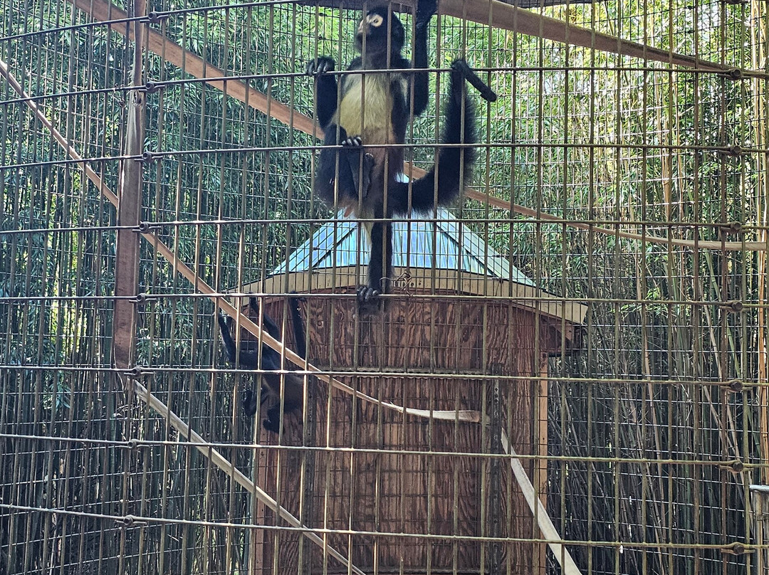 Creation Kingdom Zoo-Gate City必去景点