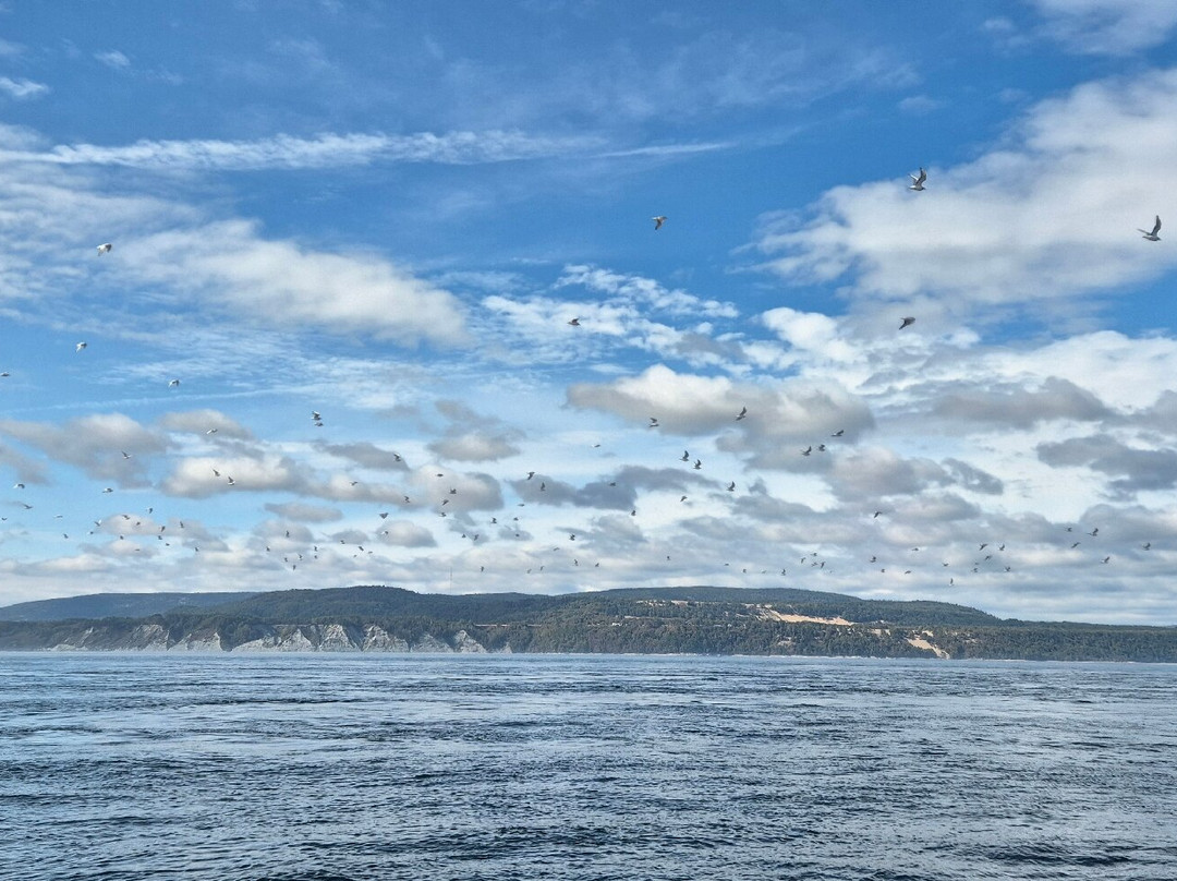 Croisières Essipit-Grandes-Bergeronnes必去景点