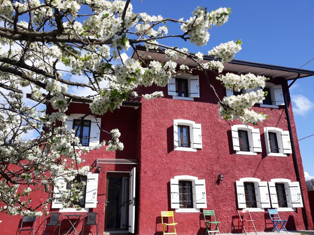Casa Zuel Guesthouse主图