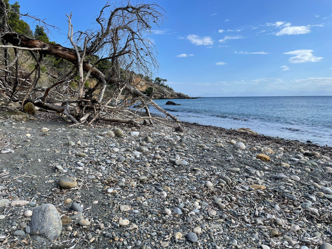 Vithisma Beach景点图片