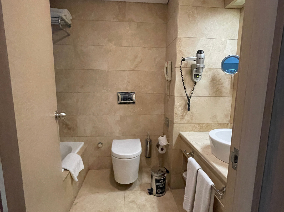 安卡拉皇冠假日酒店主图