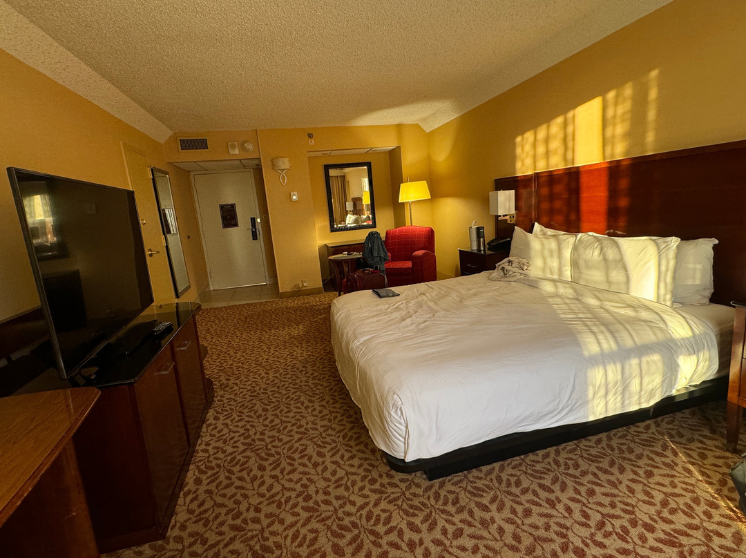 Stamford Marriott Hotel & Spa主图