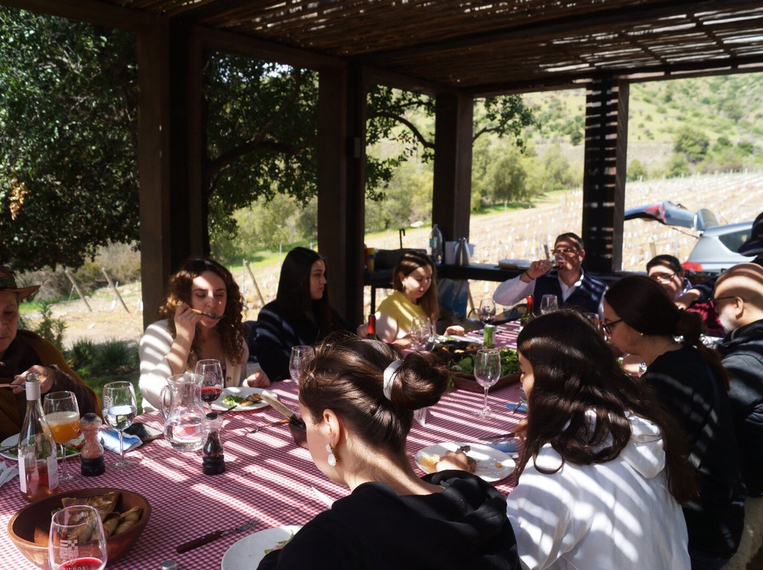 Viña Encierra-Peralillo必去景点