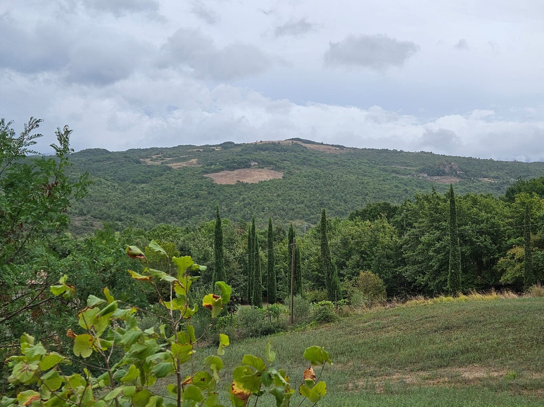 Agriturismo La Casina主图
