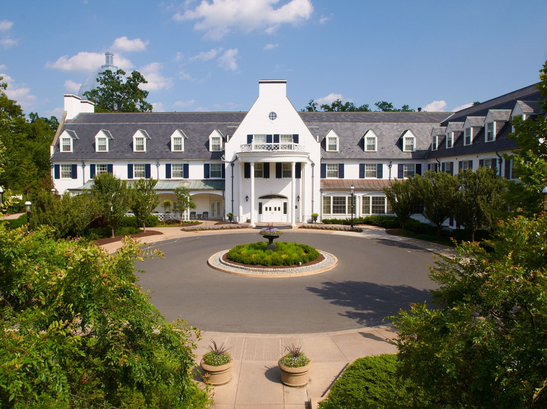 尼塔尼狮子酒店