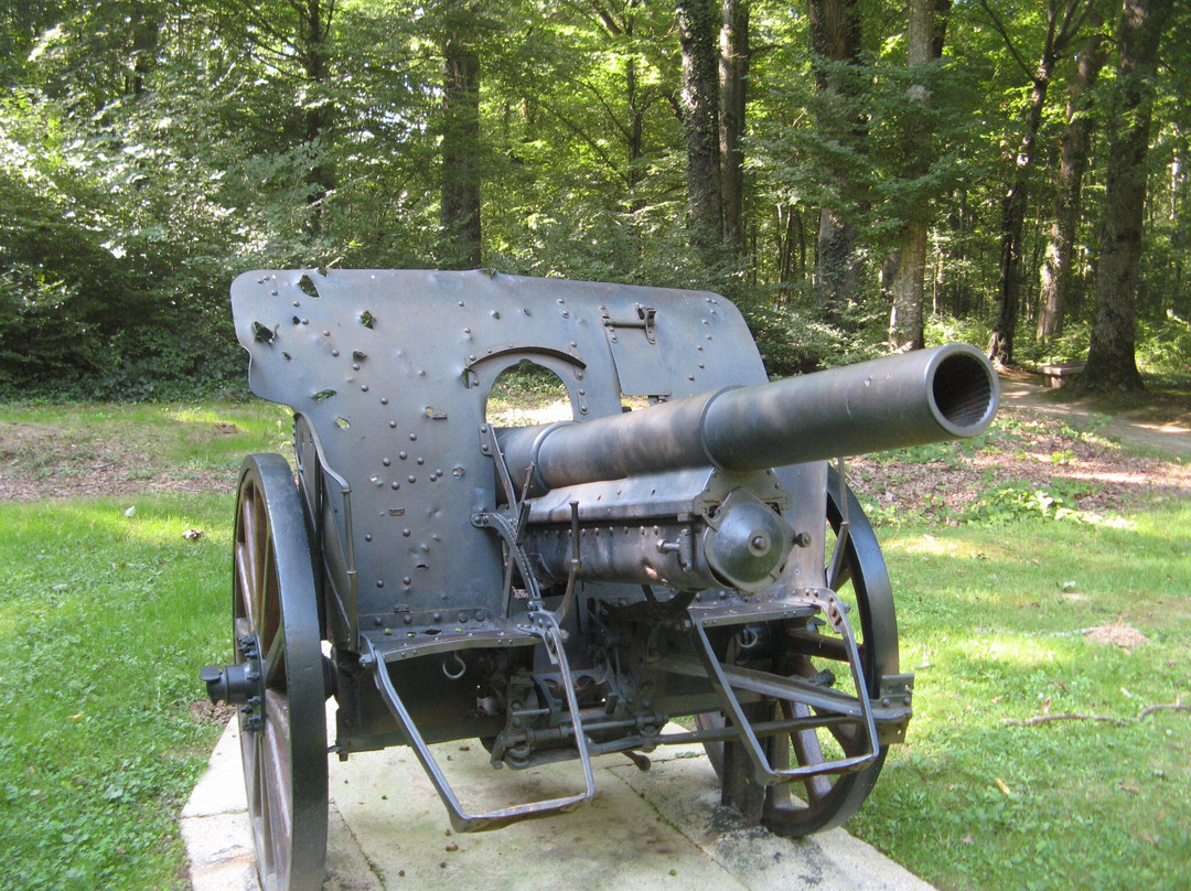 Belleau Wood - Marine Monument景点图片