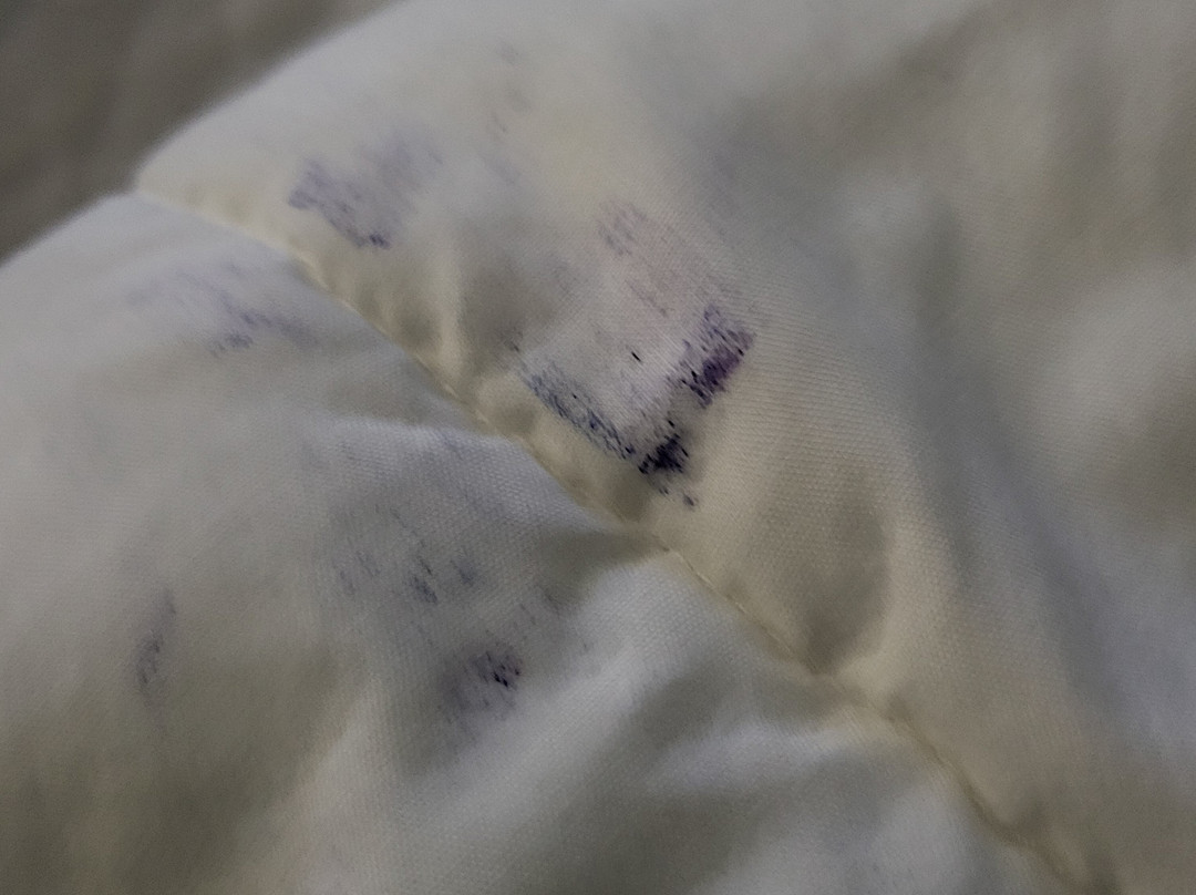 Bear Mountain Inn & Overlook Lodge主图