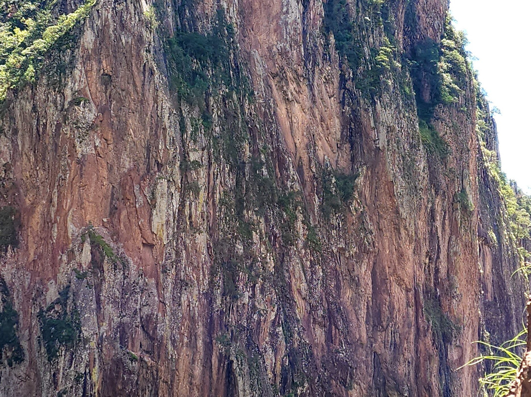 Cascada de Basaseachi National Park景点图片