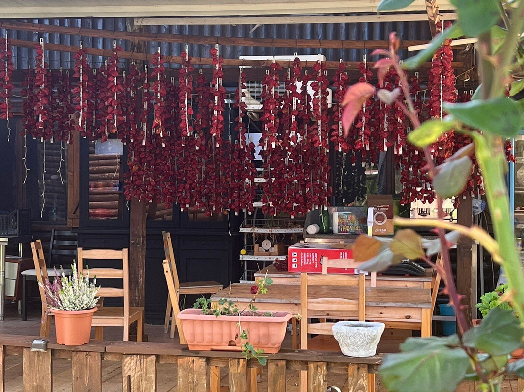 PapaVillage (chalets)主图