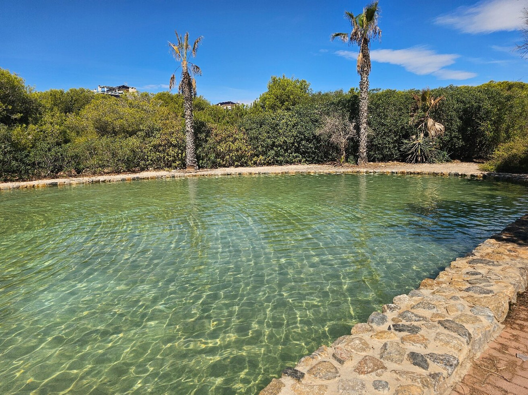 Parque del Molino de Agua景点图片