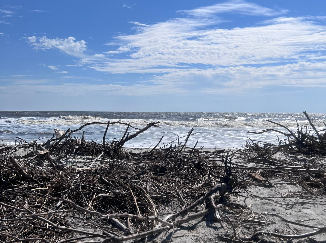 East Beach-圣西蒙斯岛必去景点