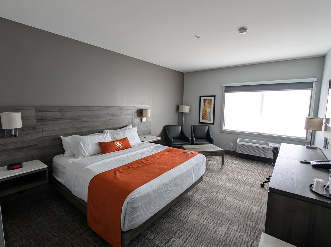 Amsterdam Inn & Suites, Ascend Hotel Collection主图