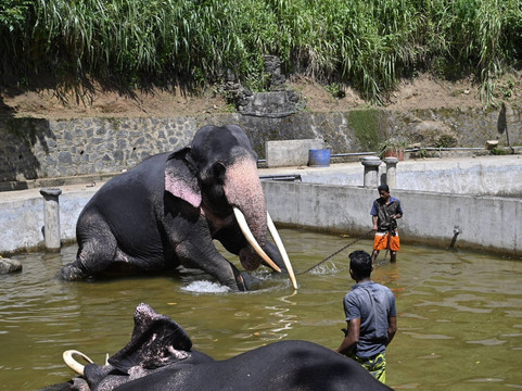Sunil Reisen-Aluthgama必去景点