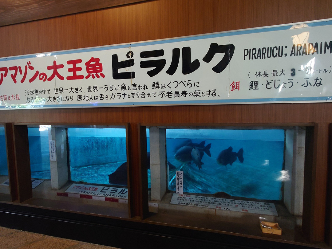 Shiraike Jigoku-别府市必去景点
