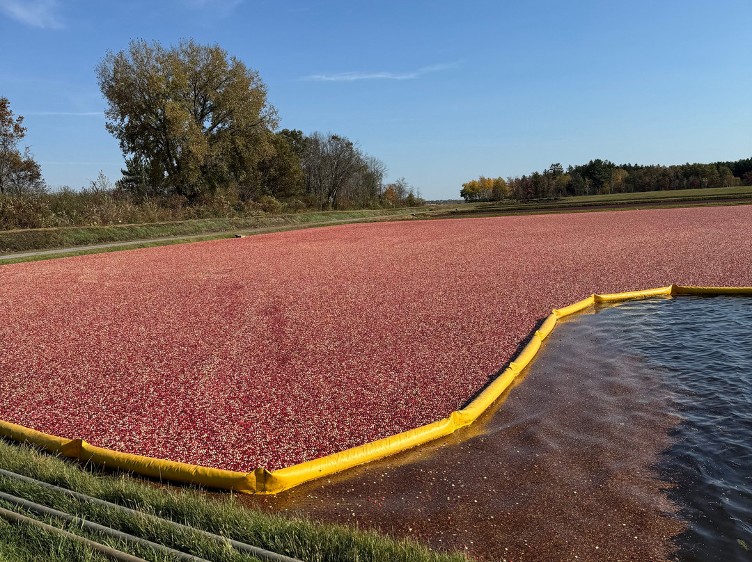 Rooted In Red Cranberry Tours in Wisconsin景点图片