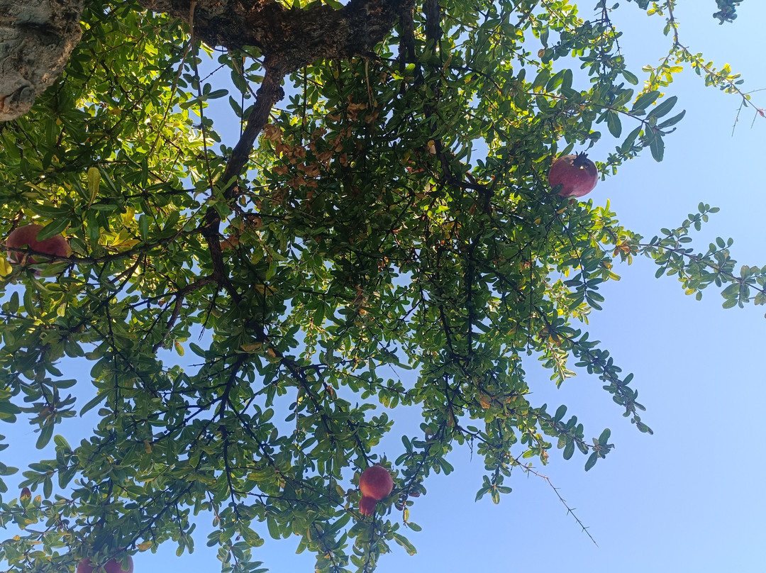 Mantenia Hotel主图