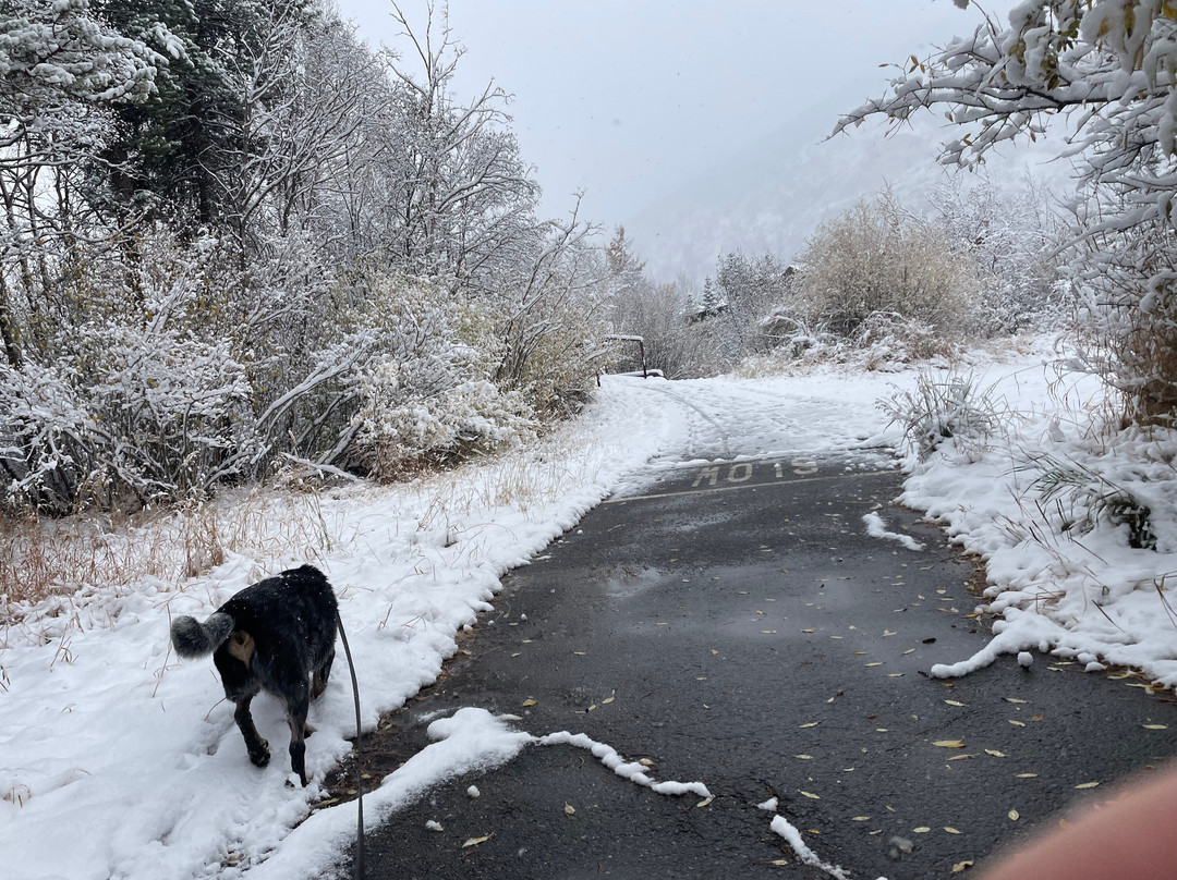 Walter Byron Park-弗里斯科必去景点