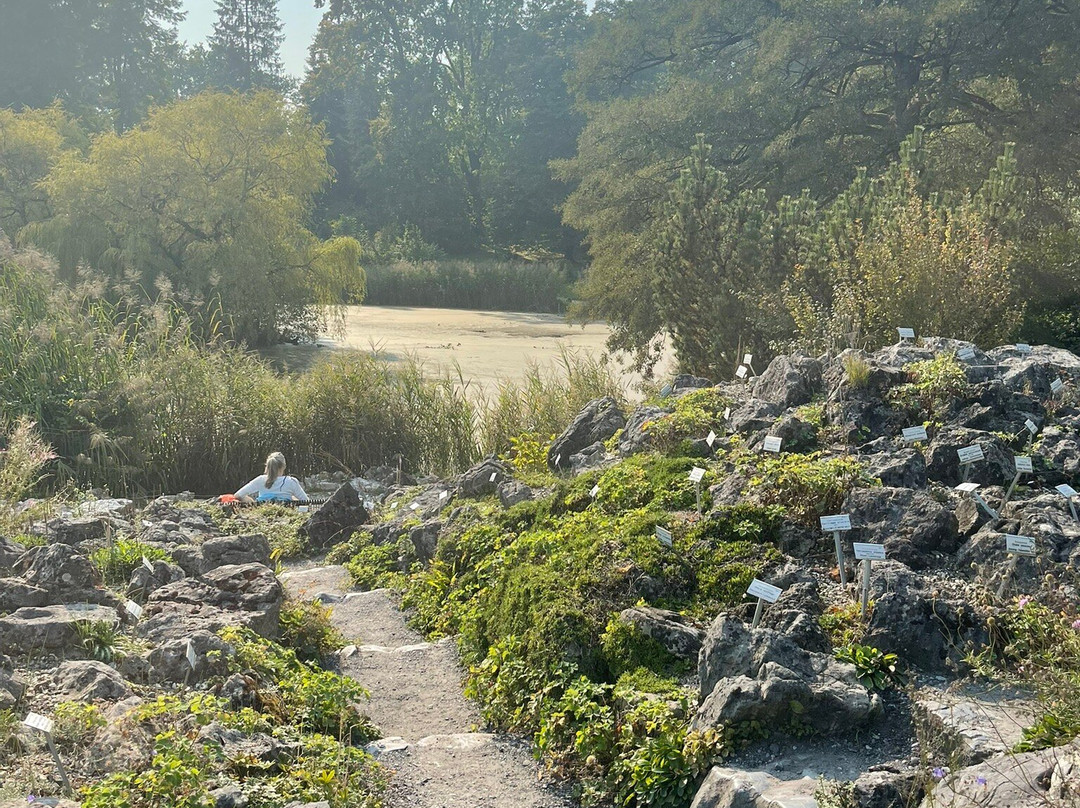 Botanical Garden Münster景点图片