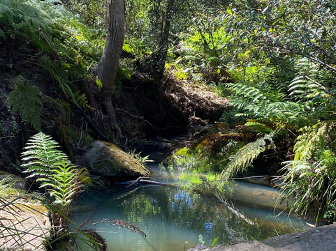 Sun Valley Fire Trail